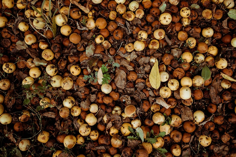 pexels-kris-møklebust-13716917 pexels-kris-møklebust-13716917