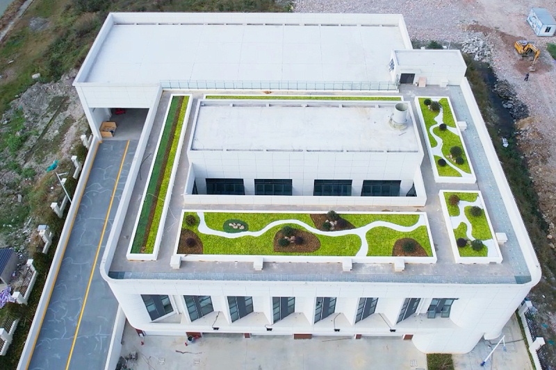 龙港市项目1 龙港市项目1